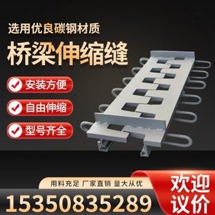 置梳齿板 装 桥梁伸缩缝GQF C40D60E80F160240型异型钢毛勒缝模数式
