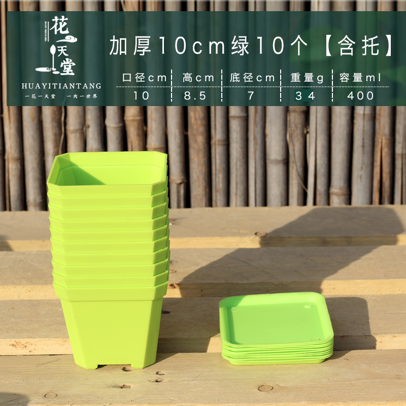 多肉花盆彩色10cm大白方盆黑z方塑料加厚景天盆生石花玉露育苗种