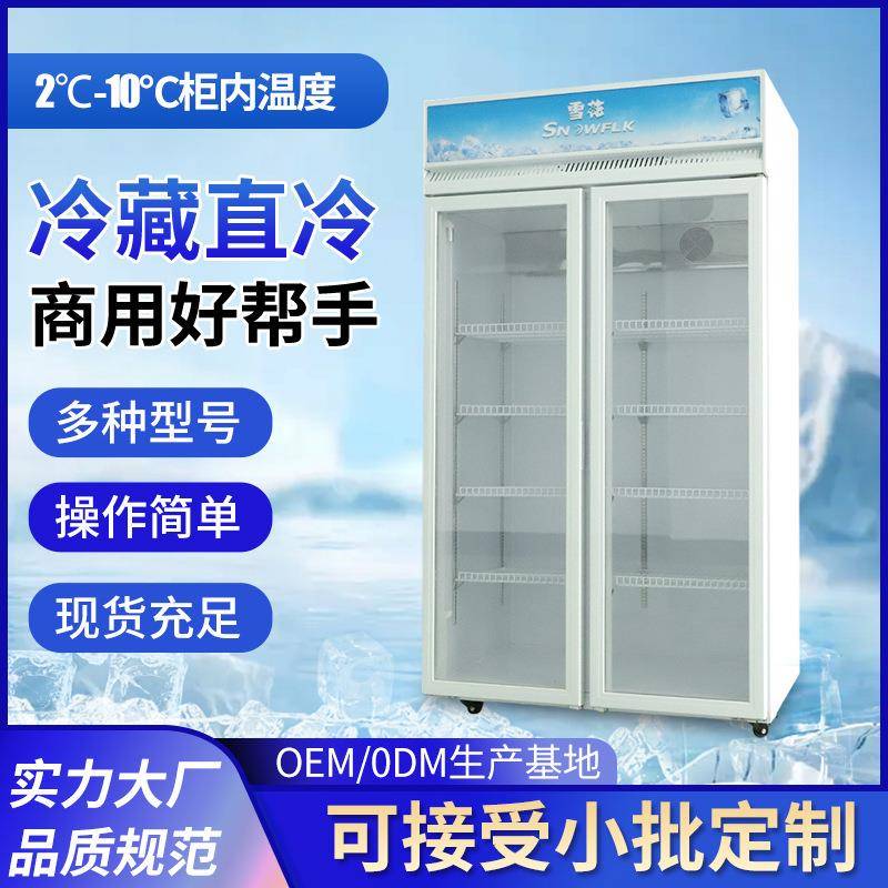 跨境供应保鲜冷藏直冷风冷式展示柜商用立式啤酒饮料展示柜系列