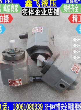 齿轮油泵-Y 油泵6Y带B-压力BB调节阀齿轮泵线BBBB-BB10Y 转子摆4