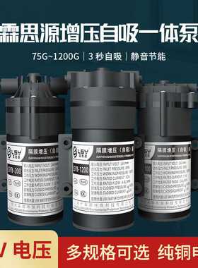净水器增压泵霖思源自吸稳压75g400g反渗透RO膜隔膜电机水泵