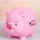 小猪只进不出存钱罐2024年新款 储蓄罐 网红儿童男孩女孩可取可存