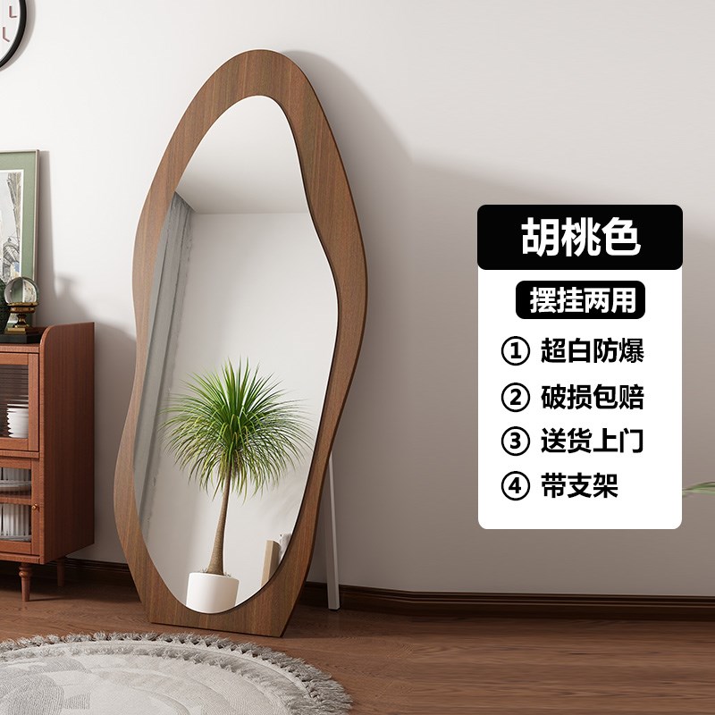 中古全身镜家用h落地镜网红异形穿衣镜女生卧室现代简约风试衣镜