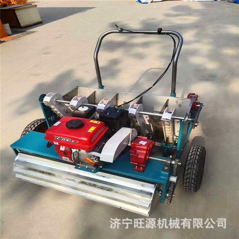 手推大蒜播种机k 汽油大蒜播种机 自走式大蒜种植机