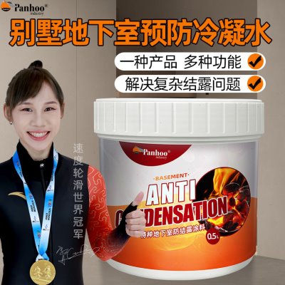 PANHOO特种地下室防结露涂料别墅防霉阴冷潮湿防冷凝水双重防凝露