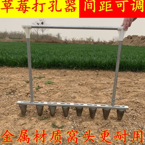 栽苗神器农用草莓种植打窝器移栽移苗定植打眼器蔬菜辣椒打孔神器