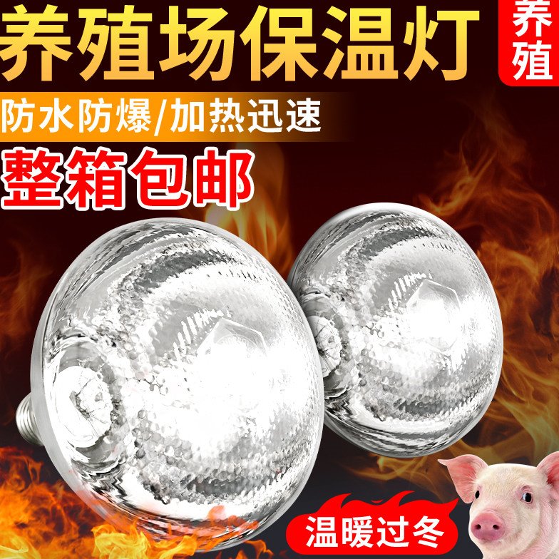 仔猪用保温灯养殖场专用加厚灯泡小鸡育雏加热烤灯兽用取暖保暖灯