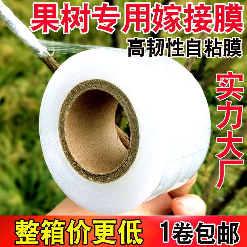 嫁接膜膜PE小膜果数园林农用包扎带无需打结薄膜自粘膜
