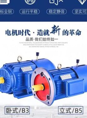 动Y马达电失磁三相异步电动机38V制铜线E国标抱闸2电J刹车电机带0