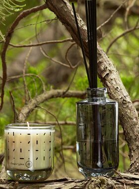 礼物度Z木质香型致北纬无火香薰室内香氛几日植物精油37节J蜡烛