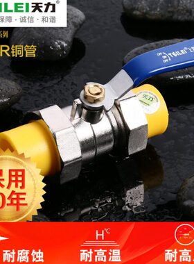 ppr水管力口皇家铜芯承双活接球阀冷热水管天球阀4分管配件6分
