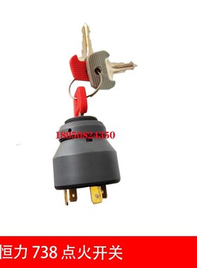 50017769 永恒力门锁 点C火开关 永恒力 738钥匙开关