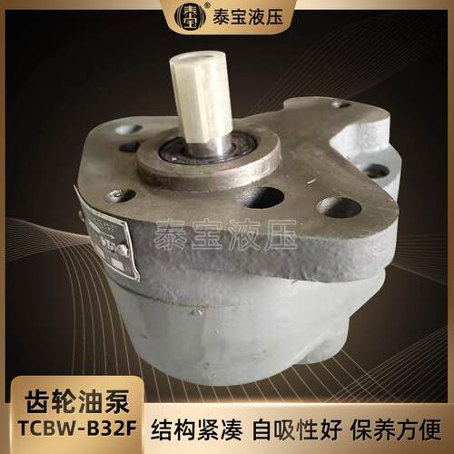 齿轮油泵TCBW-B32F锯床齿轮油泵TCBW-B2.5LRB-6CBW-B4齿轮泵