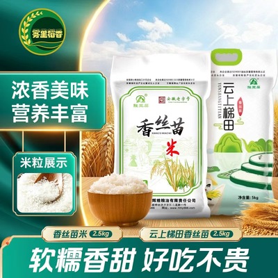 香糯香丝苗猫牙米南方优质长粒米家庭装农家新米清香软糯营养真空