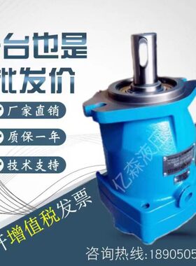 邵阳维克MFB系列马达MFB29/20-U-10-HZQMFB29-UF20-PRC随车吊专用