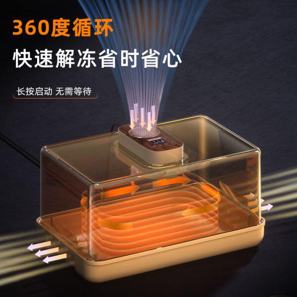 解冻器大容量解冻肉类家用急速解冻实物恒温温控解冻神器化冰保鲜