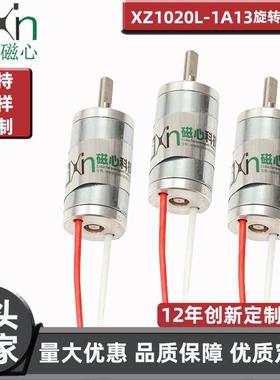 东莞厂家公路测绘仪零件旋转电磁铁XZ1020L定制软磁性材料定制化