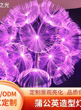 户外亮化防水蒲公英灯园林装饰led景观灯广场商场圣诞氛围造型灯