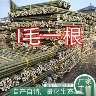 竹竿子搭架竹架子竹子杆菜园竹竿豆角黄瓜西红柿瓜果蔬菜爬藤架杆