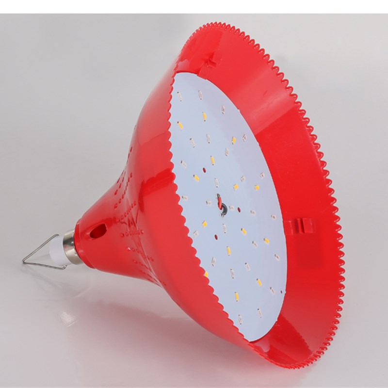 12v LED灯泡低压生鲜熟食水果猪肉灯48v夜市灯摆地摊灯led电瓶灯