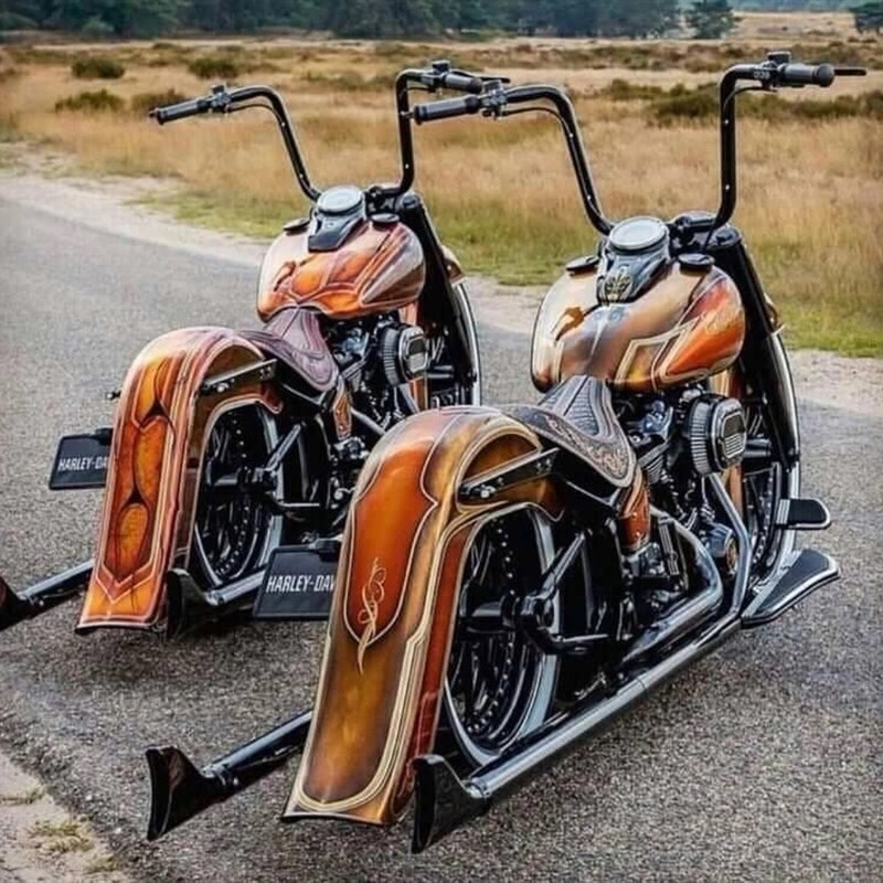 进口哈雷路王883N金刚狼威路德复古v缸太子铁马400cc马格纳摩托车