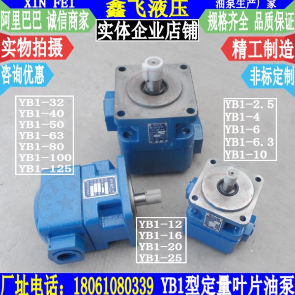 定量YB1-63叶片泵YB1-80低压油泵YB1-100上海申磨M7130磨床泵配件