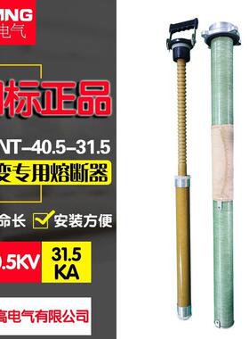 XRNT3A(STR20)-40.5KV风变专用高压熔断器(光伏全范围保护)31.5KA