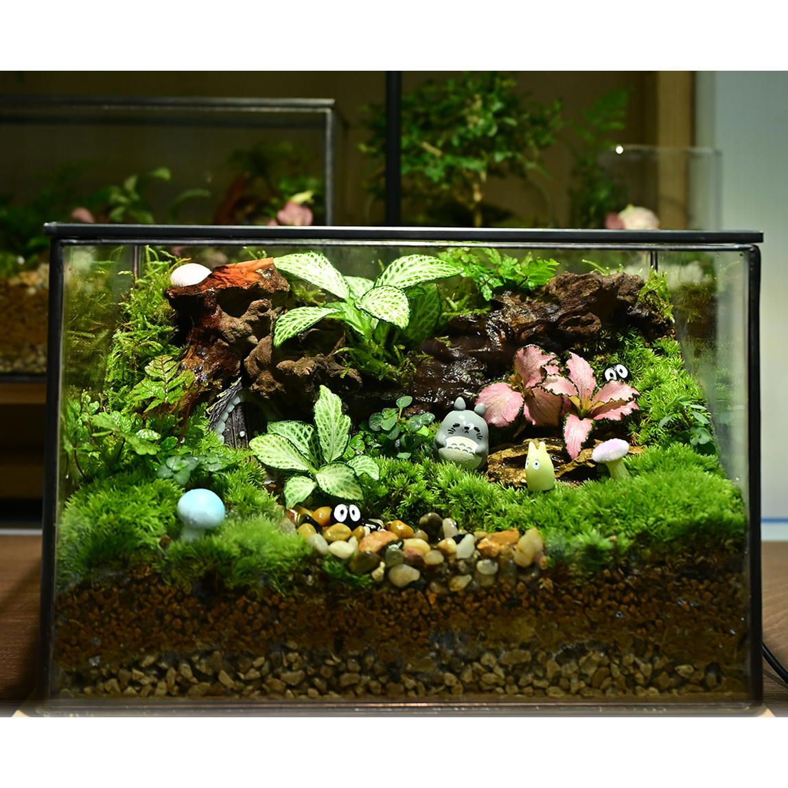 苔藓微景观玻璃生态缸造景艺术摆件室内植物绿植创意