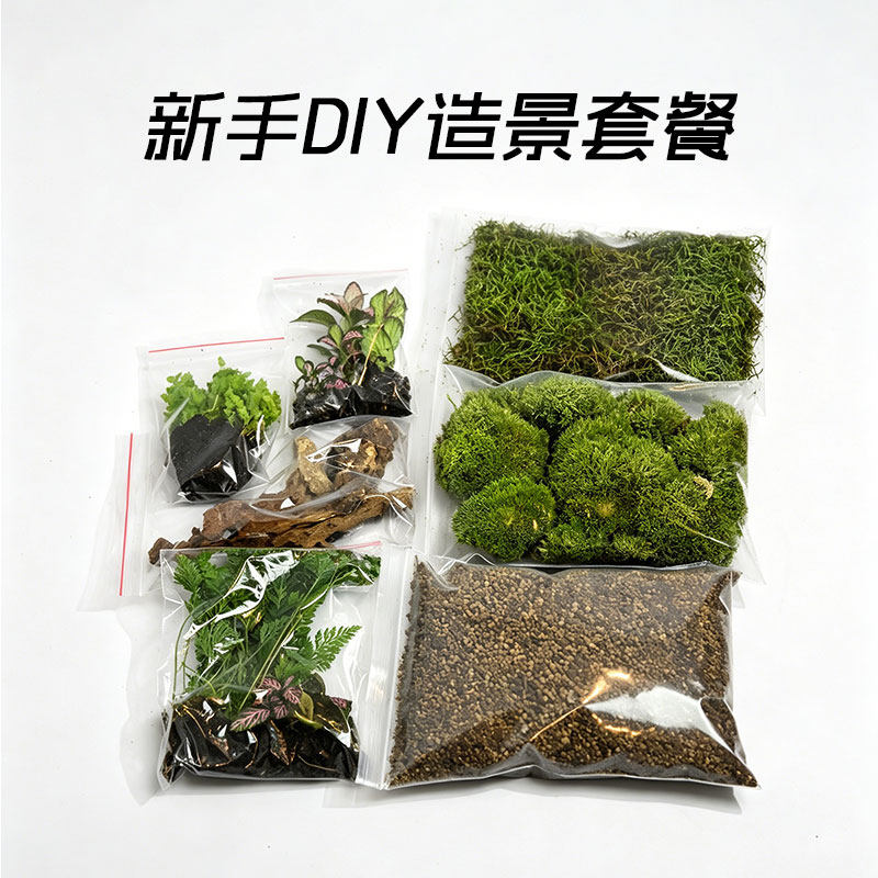 苔藓微景观diy通用材料包白发蕨