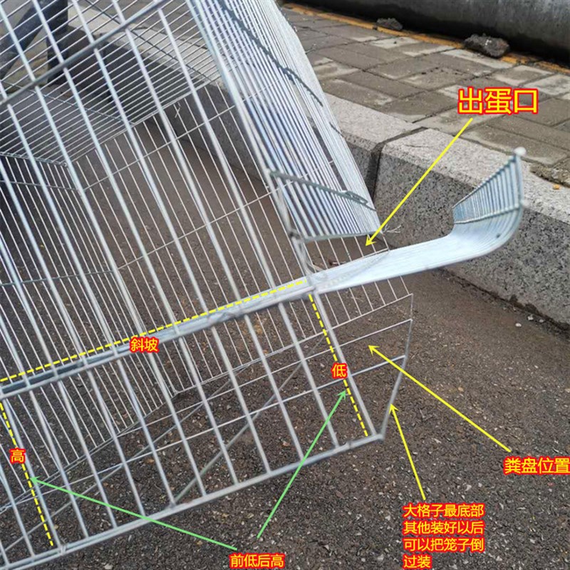 家养安春养殖鹌鹑笼小型方笼镀锌宠物鸟笼产蛋下蛋自动出蛋滚蛋笼