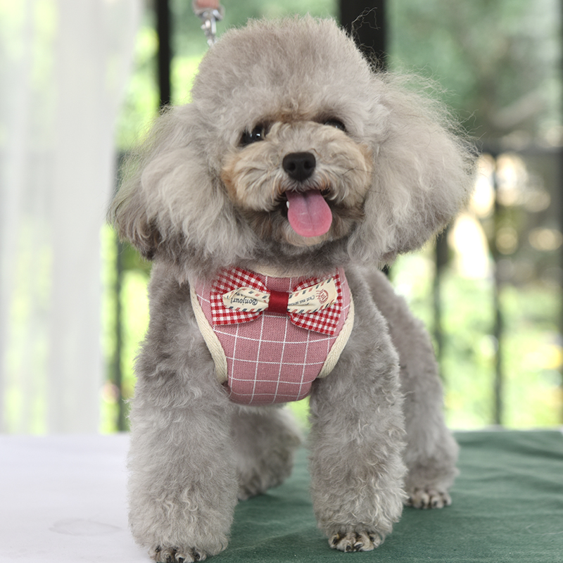 狗狗牵引绳泰迪比熊背心式胸背带小型犬遛狗绳子狗链可爱宠物用品