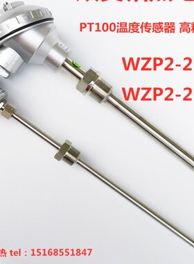 双支PT100铂热电阻传感器WZP2-230/WZP2-23Q1 固定螺纹温度传感器