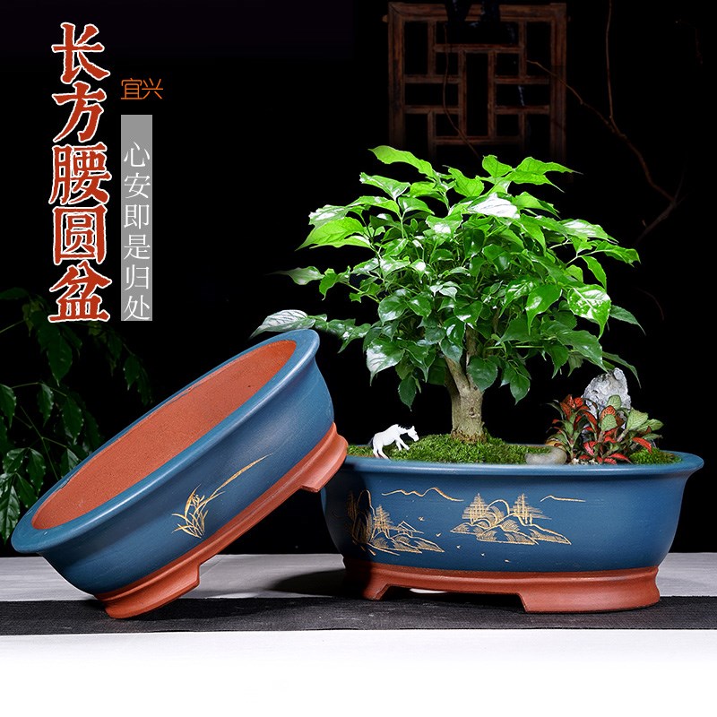 紫砂花盆椭圆型盆景盆黄杨榆树专用花盆J陶瓷长方形陶瓷榕树花盆