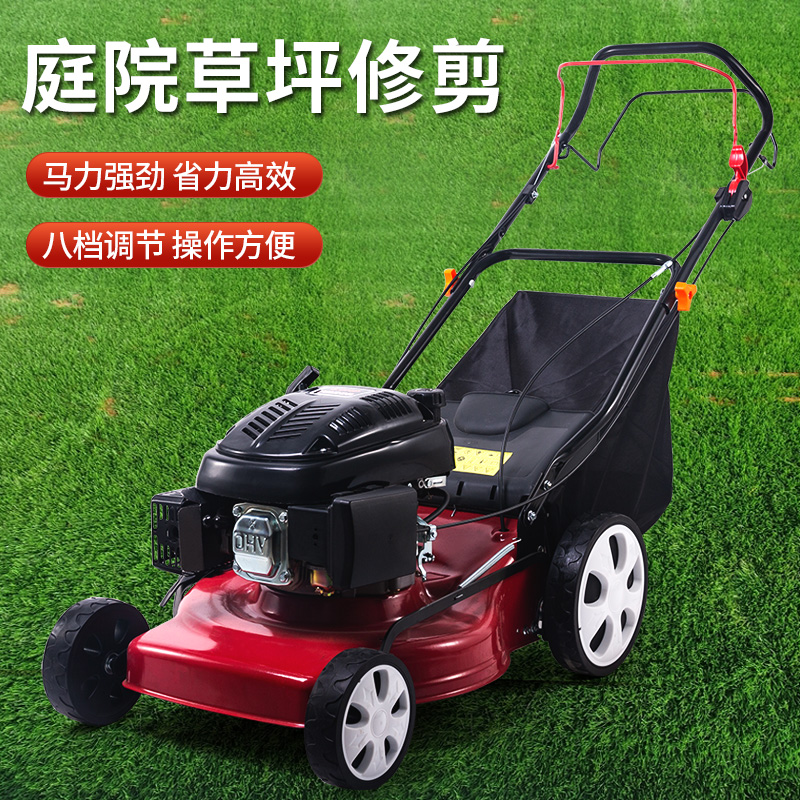 本机汽草割草机手推自走草坪机修油田除草推草剪草W打草机果园碎