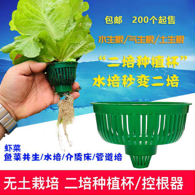 【定植杯】[包邮]二培种植杯水培基质土控根器营养钵育苗盘定植杯