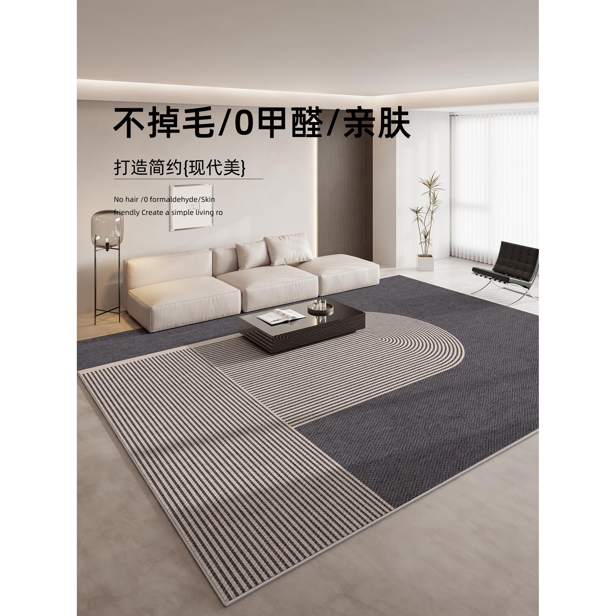 地毯客厅2025新款可洗可擦卧室床边毛毯可及豪华高端加厚防水沙发