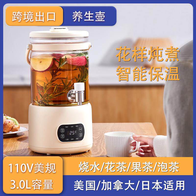 110V美规养生壶炖煮一体多功能花茶烧水壶煮茶壶茶壶All煮茶壶