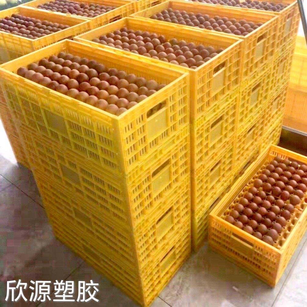 鸭蛋收纳筐鸡蛋周转筐塑料蛋托托盘托架整理筐塑胶物流筐可折叠筐