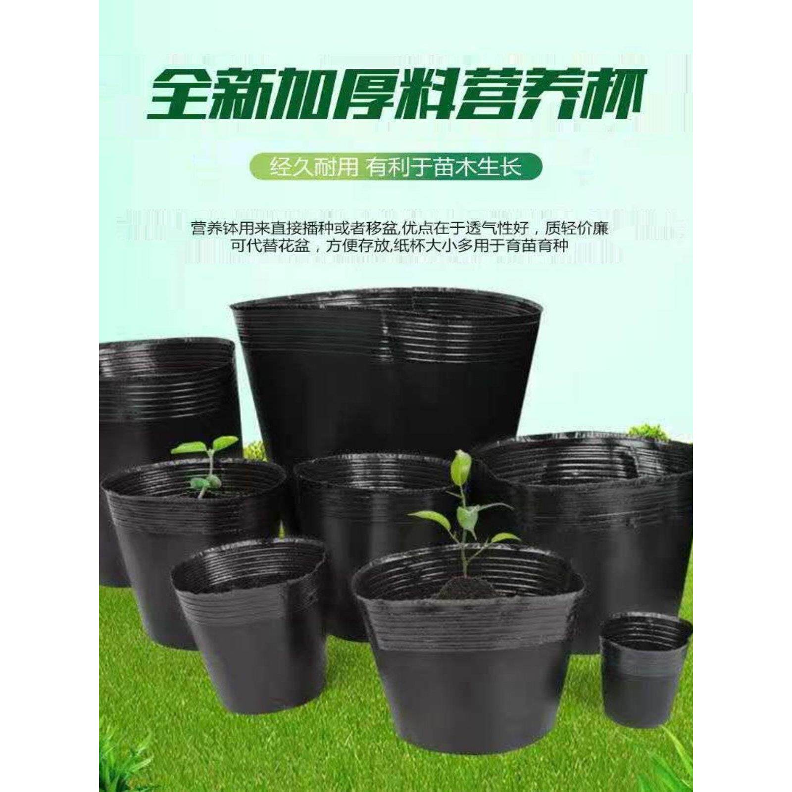 营养钵育苗盆加厚营养杯天麻育苗杯魔芋种植袋黑色抗老化育苗袋