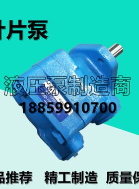 伊顿威格士液压V20-1P8P-1C-R叶片泵V20-1P9S/1B13B/1S7S-1A11