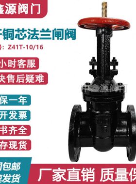Z41T/Z45T-16铸铁铜杆铜芯人防防护明杆暗杆法兰闸阀DN6580100125