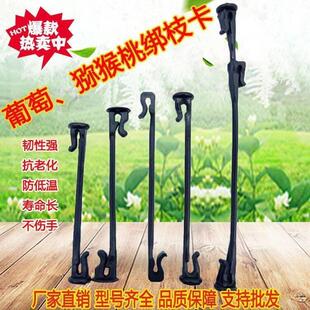 奇异果绑枝卡扣葡萄绑蔓绑枝卡蓝莓树苗瓜果枝条固定塑料挂钩藤蔓