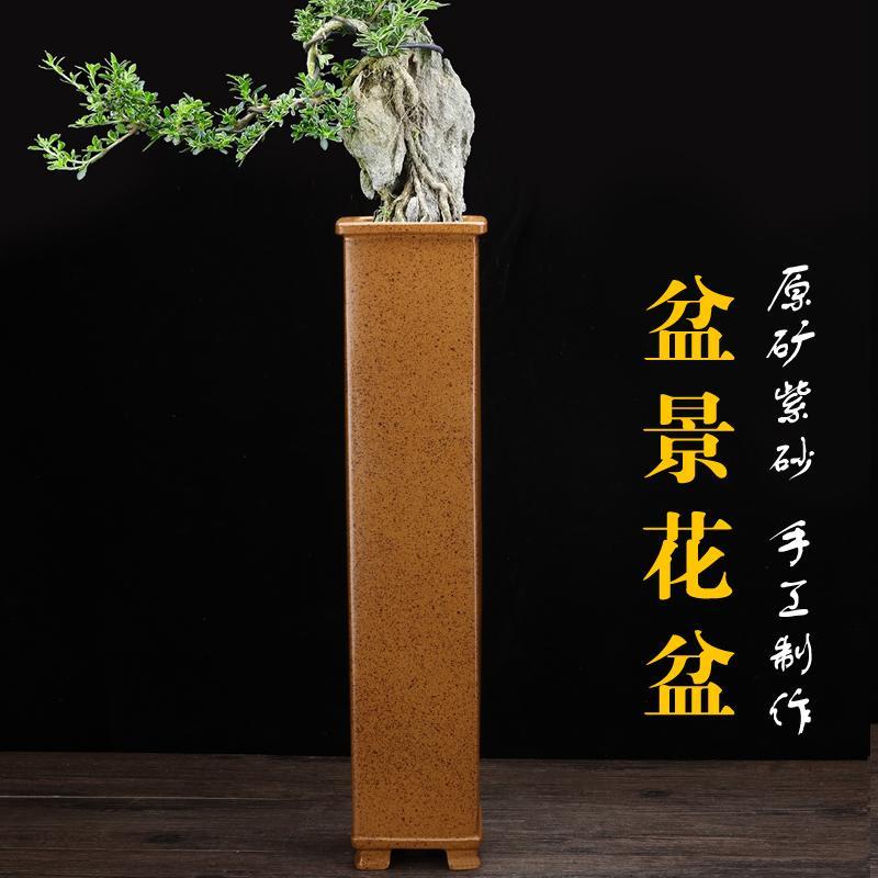 悬崖桩花盆宜兴紫砂高四方签筒盆景老榕树艺术陶瓷兰盆客厅雅摆件