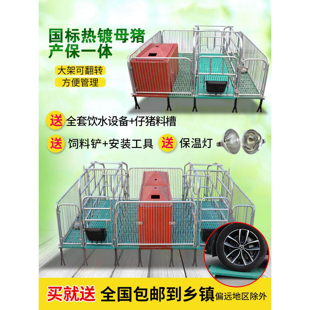 母猪产床保育床一体加厚热镀锌单双体产保两用养殖猪场猪用分娩床
