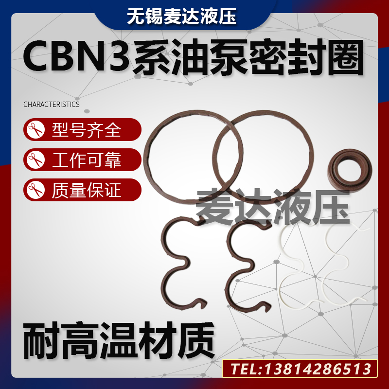 齿轮泵CBN/CBT-EFG304/306/310/314/K316/325修理包油封密封圈胶