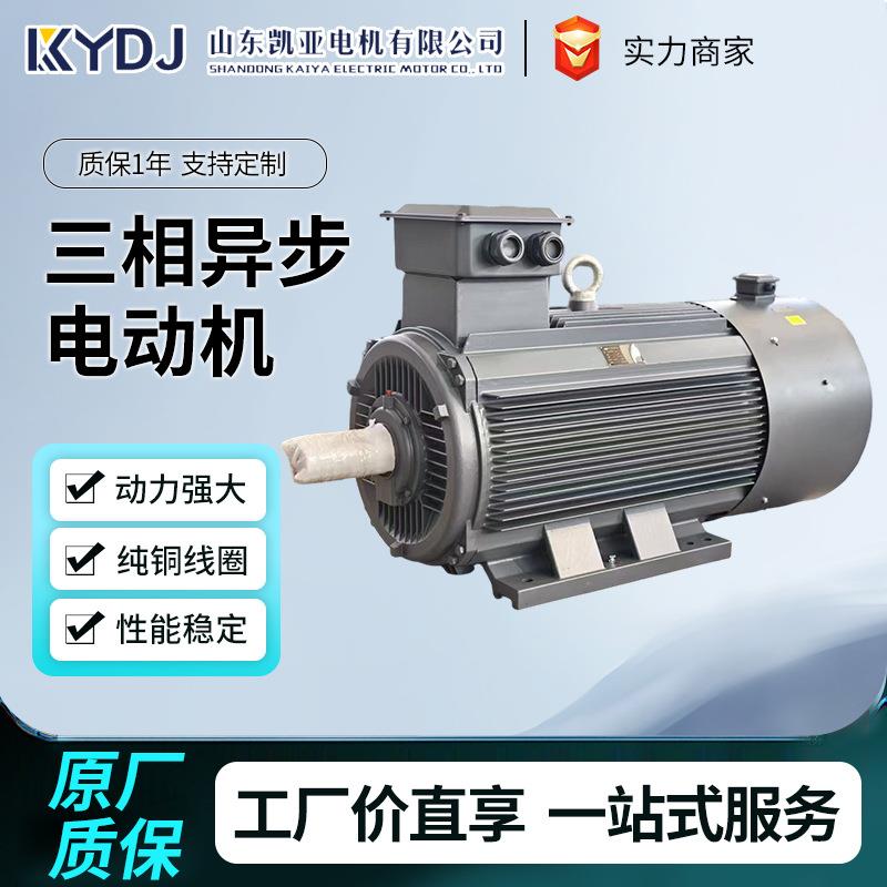 三相异步电动机110V220V380VYL-YE3-YE4-YE5-YVF2厂家直销