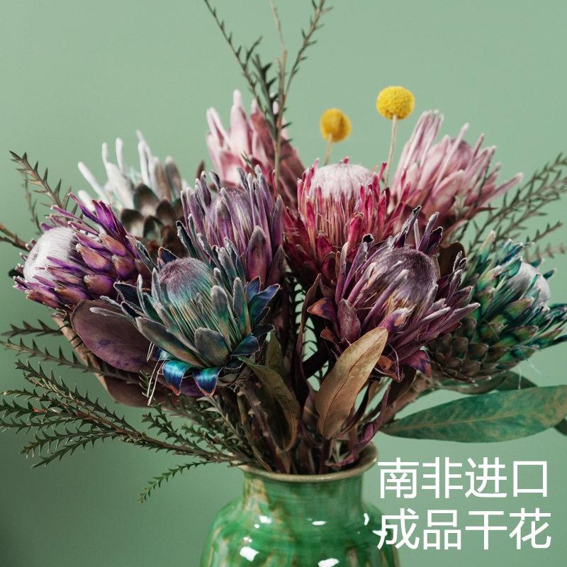 南非进口干 干花帝王花公主花班克木干 干燥花客厅高端进口真花花