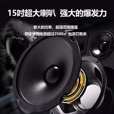 新款【投影K歌一体音响】家用户外广场舞KTV带显示屏卡拉0k音箱