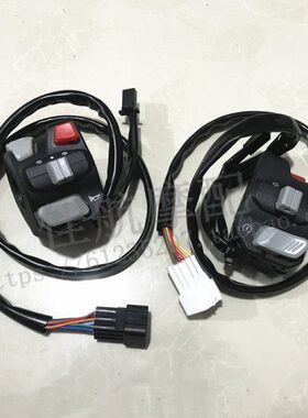 新款金鹏TRK502X左右背光组合开关BJ500GS-5D大灯喇叭转向灯开关