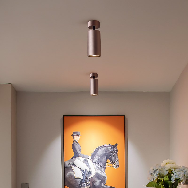 中古风高级感led明装射灯可调角度单个家用背景墙吸顶聚光照画 画